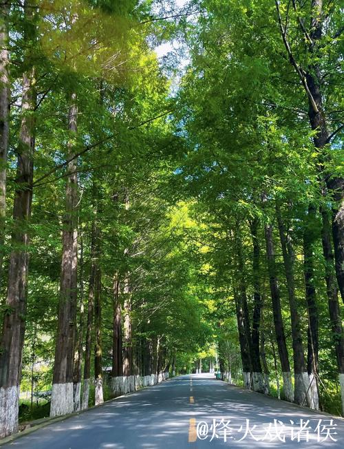 陕西留坝：民宿搭台、非遗唱戏 深山旅居解锁文化新体验